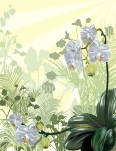Vector Tropical Orchid Background