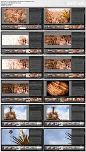 Digital-Tutors - Introduction to Lightroom CC