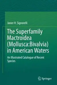 The Superfamily Mactroidea (Mollusca:Bivalvia) in American Waters: An Illustrated Catalogue of Recent Species (Repost)