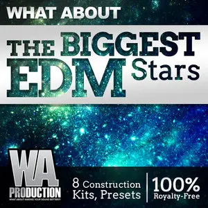WA Production What About The Biggest EDM Stars WAV MiDi FXP