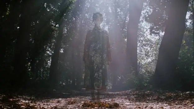 Dark Fields (2006)