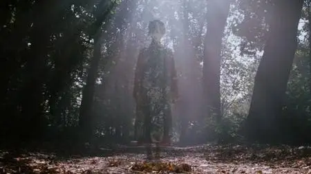Dark Fields (2006)