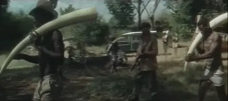 Africa Express (1976)