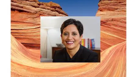 Alternatives To Unicorn Chasing Vcs With Sramana Mitra