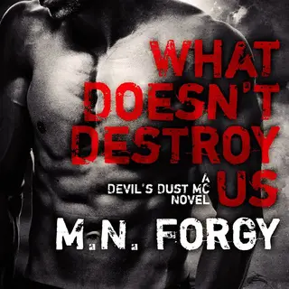 «What Doesn't Destroy Us» by M.N. Forgy