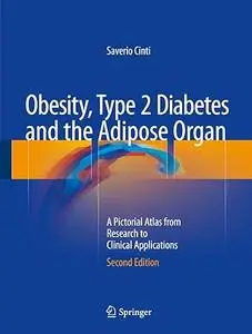 Obesity, Type 2 Diabetes and the Adipose Organ: A Pictorial Atlas from Research to Clinical Applications (Repost)