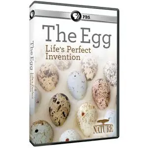 PBS - NATURE: The Egg: Life's Perfect Invention (2019)