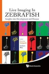 Life Imaging in Zebrafish: Insights into Development and Disease [Repost]