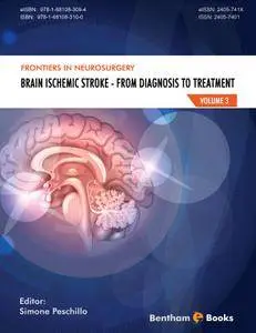 Brain Ischemic Stroke: From Diagnosis to Treatment