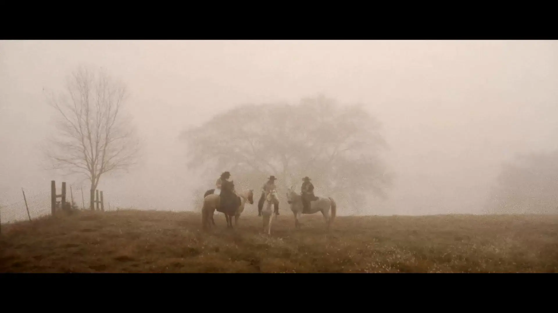 Potter's Ground (2021) / AvaxHome