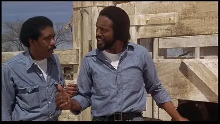 Stir Crazy (1980)