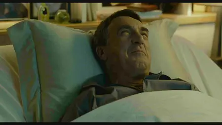 Quasi Amici (2011)