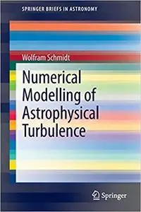 Numerical Modelling of Astrophysical Turbulence