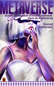 Guide incroyable d'investissement dans le Metaverse - Daniel Patterson