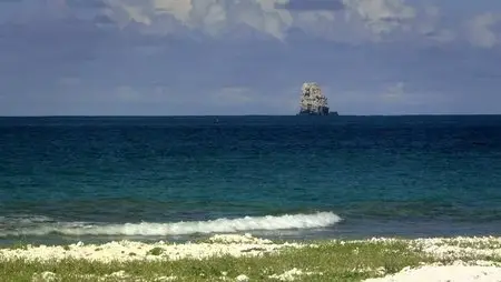 Wild Hawaii (2013)
