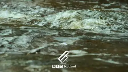 BBC - Grand Tours of Scotland's Rivers Series 1 (2022)