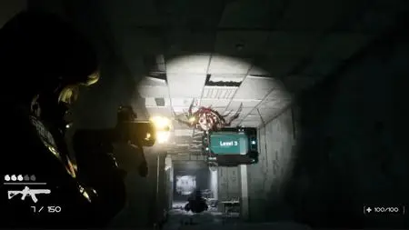 Spider Inferno (2024)