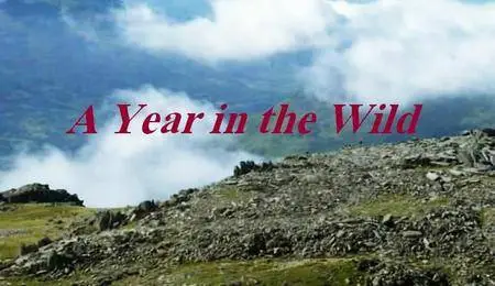 BBC - A Year in the Wild (2012)