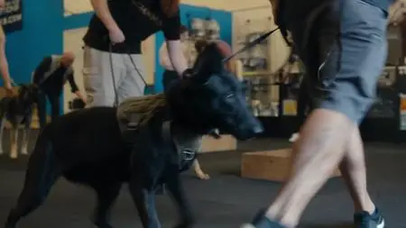 Canine Intervention S01E01