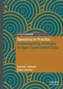 Openness in Practice: Understanding Attitudes to Open Government Data