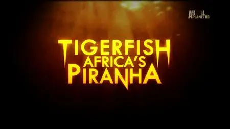 Discovery Channel - Tigerfish: Africa's Piranha (2014)