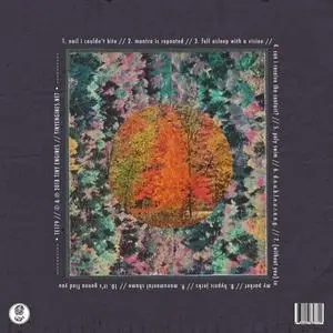 The Spirit of the Beehive - Hypnic Jerks (2018)