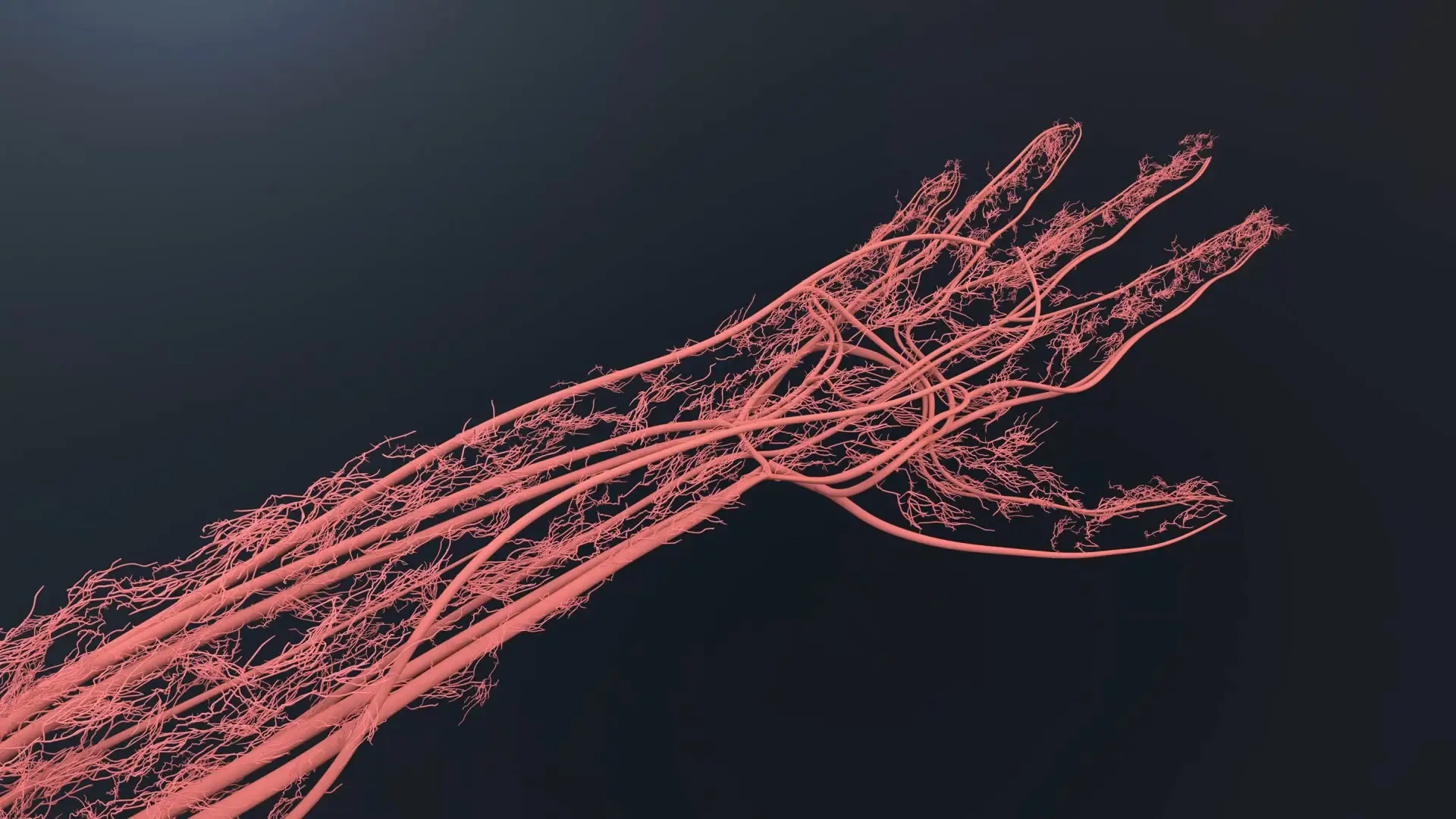 NHK - Breakthrough: Fixing a Broken Heart (2019)