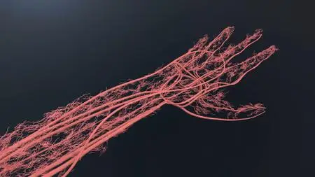 NHK - Breakthrough: Fixing a Broken Heart (2019)