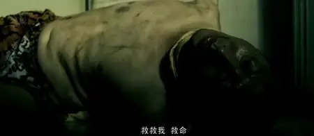 Crazy Racer (2009)