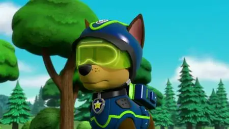 Paw Patrol S06E13