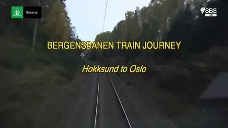 SBS - Bergensbanen Train Journey (2010)