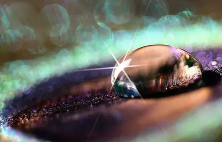 Macro Wallpapers (part-10)