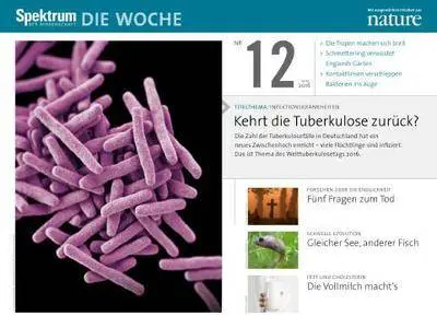 Spektrum - Die Woche - Nr.12, 24 Marz 2016