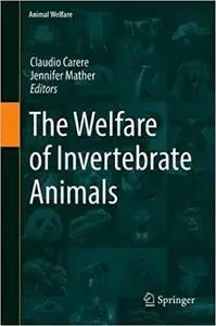 The Welfare of Invertebrate Animals