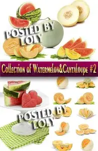 Food. Mega Collection. Watermelon and melon #2 - Stock Photo