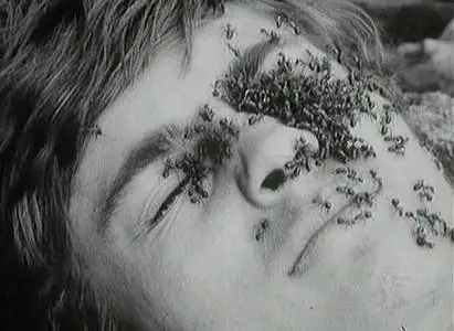 Jan Nemec - Demanty Noci (AKA ''Diamonds of the Night'')
