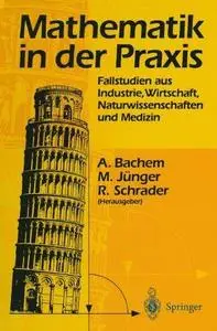Mathematik in der Praxis: Fallstudien aus Industrie, Wirtschaft, Naturwissenschaften und Medizin