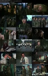 Operation Bullshine (1959) 