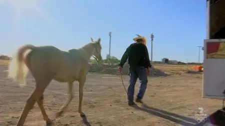 Outback Truckers S09E08