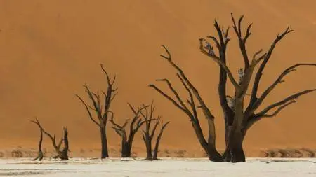 BBC - Planet Earth II: 4of6 Deserts (2016)