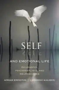 Self and Emotional Life: Philosophy, Psychoanalysis, and Neuroscience (Repost)