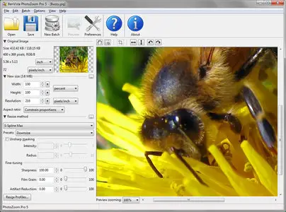Benvista PhotoZoom Pro 5.0.2 Multilingual + Portable