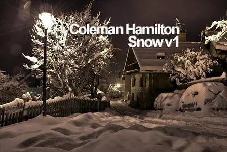 Coleman Hamilton Presents Snow Volume 1