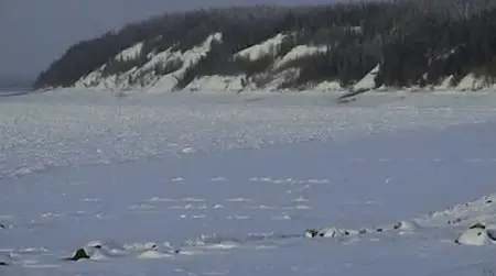 Studio Babalsberg Film - Happy People: A Year In The Taiga (2011)