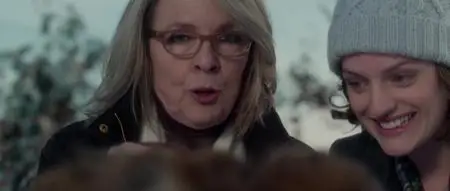 Darling Companion (2012)