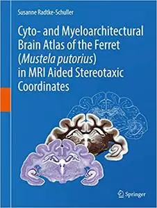Cyto- and Myeloarchitectural Brain Atlas of the Ferret