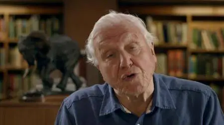 Attenborough and the Giant Elephant (2017)