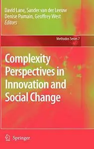 Complexity Perspectives in Innovation and Social Change