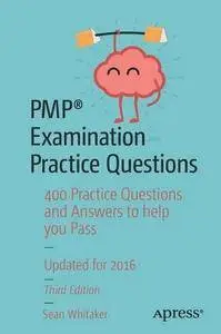 PMP® Examination Practice Questions: 400 Practice Questions and Answers to help you Pass, Third Edition