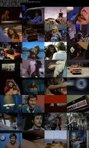 Beneath the Valley of the Ultra-Vixens (1979) 